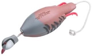 Dokken Dead Fowl Trainers Chukar Partridge
