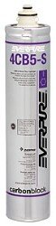 (Package Of 2) Everpure 4CB5-S EV9617-21 Replacement Filter Cartridge