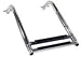 Under Platform Telescoping Ladder (Windline)
