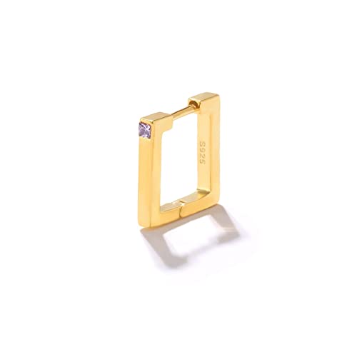 Hoop pour femmes en argent haut de gamme et son pavage en oxyde de zirconium