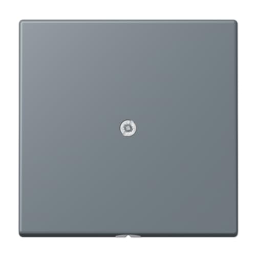 JUNG LC990A251 plaque centrale avec sortie câble LC4320H premium