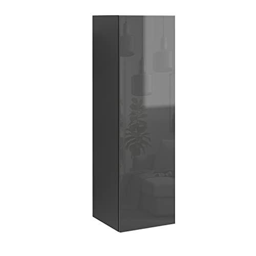 Wuun® Hochschrank 100cm Hängeschrank Badezimmerschrank Wohnwand (Grau-Anthrazit-Matt/Grau-Anthrazit-Hochglanz)