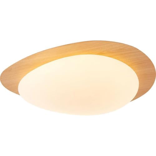 SHUANGZ Lámpara de techo LED minimalista con diseño en forma de huevo, montaje empotrado, lámpara de techo, iluminación de cocina, pasillo, panel de luz de 3 luces cambiables, decoración del hogar