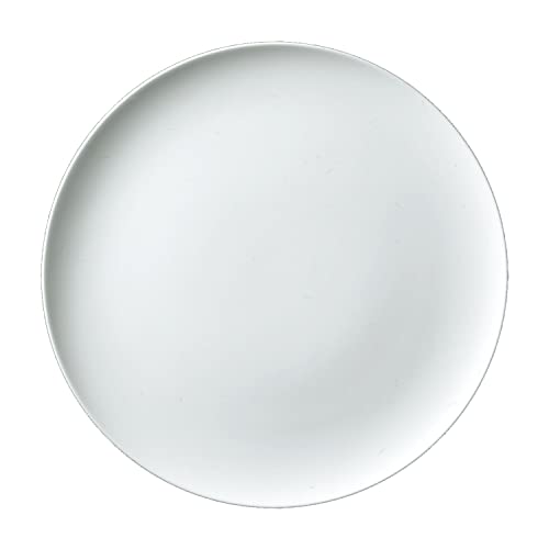 Noritake(m^P) N4 25cmtbgv[g 5523A/1628