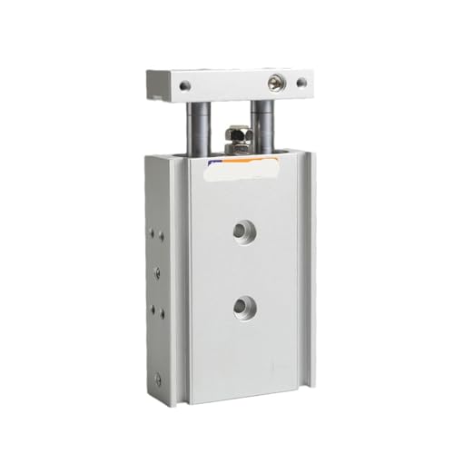 Vérin double tige TR25 TR32 pour éliminer les torsions mécaniques - 2