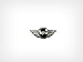 BMW Mini r52 r53 Cooper S Emblem 'MINI' Hood OEM front engine lid logo wings