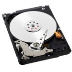Amazon.in: Buy WD Blue 320GB Internal Hard Drive (WD3200BPVT