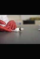 Psychology 1 B0F5M3J7QH Book Cover