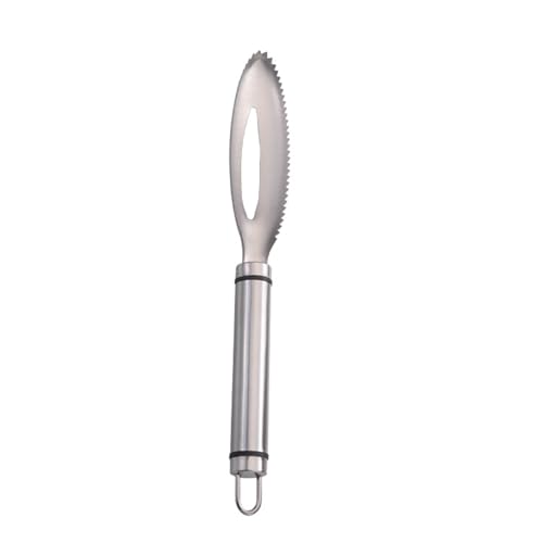 BDEPSTR Écailleur de Poisson Professionnel en Acier Inoxydable 304 | Outil de Cuisine pour Enlever...