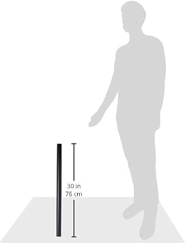 Ergotron DS100 28-Inch Tall Pole Add-on for DS100 Monitor Stands
