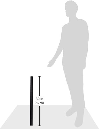 Ergotron DS100 28-Inch Tall Pole Add-on for DS100 Monitor Stands