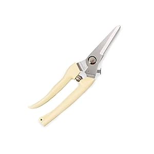 PRUNER BOOM CUTER TUINING SNUNINGEN SHEAR SCISSOR Roestvrij staal Snijden Home Tools Antislip SSDMJ (Color : B)