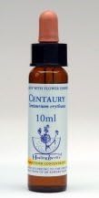 CENTAURY Healing Herbs Bach Flower Remedies 10ml by Healingherbs