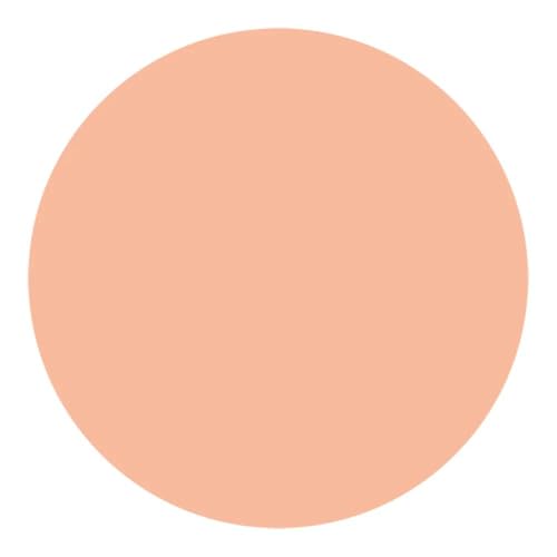 Shiseido UV Protective Compact Foundation Light Beige - Protetor Solar Facial Compacto FPS 35 Refil 12g