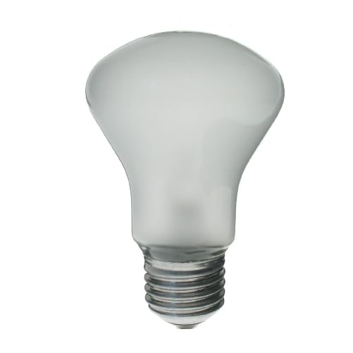 Super Leuci 196v 100w Elinchrom EL23002 Modelling Lamp Bulb