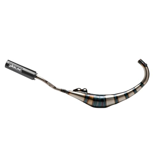 Escape YASUNI R2 de carbono para moto RIEJU RS2 MATRIX y YAMAHA TZR 50