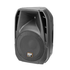 SPEAKERS 300W VX-300