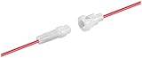  Wentronic Sicherungshalter für Größe 5X 20 Kabel (Circa 25 cm) mit losen Kabelenden