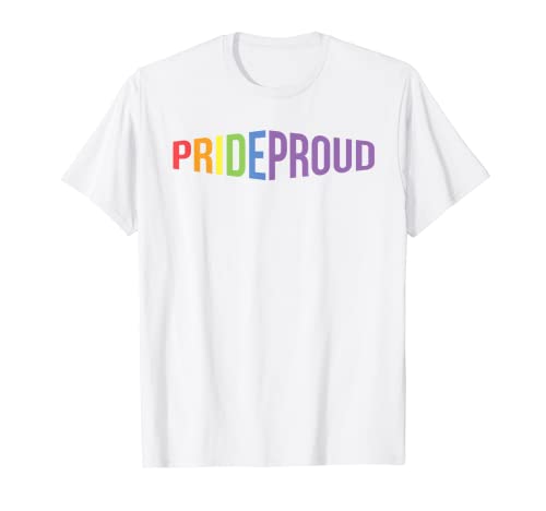 Licencia del arco iris Camiseta