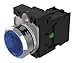 45-1231.31J6.000.101?-?Industrial Pushbutton Switch, SPST-NO, On-Off, Screw, 10 A, 500 V, 500 V
