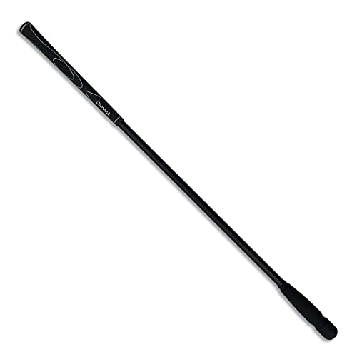 Amazon.co.jp: Danact: スイング練習器具
