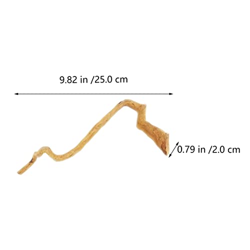 POPETPOP 10Pcs Rami Subacquei Rododendro Scena