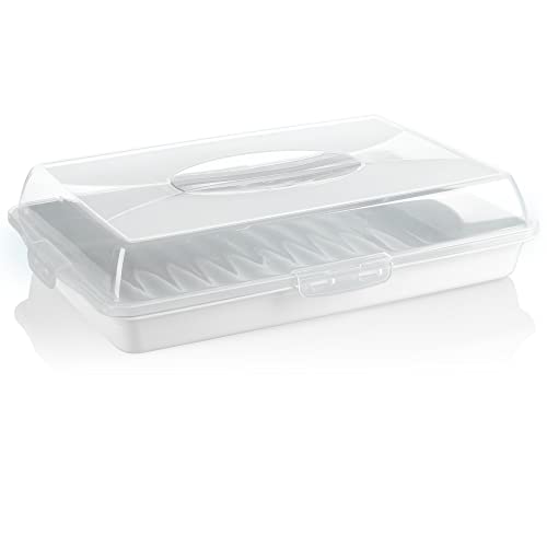 com-four® Recipiente para tartas - Caja de transporte para tartas y alimentos - Recipiente de almacenamiento con tapa y asa (01 piezas - diseño 2 blanco)