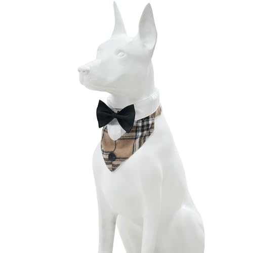 MAMORE tH[}  ^LV[h o_iAlN^Ct߉\ȃEFfBOJ[ÃRX`[ ap[eB[Mtg ^Lp(J[L&zCg-1ALTCY)