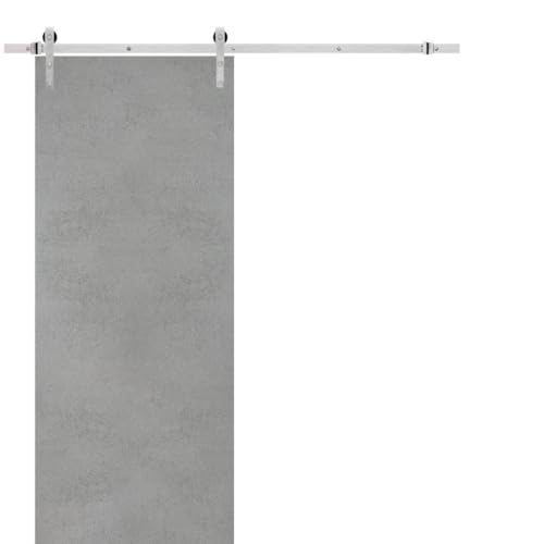 Sturdy Barn Door | Planum 0010 Concrete | Top Mount 6.6FT Rail Hangers Heavy Hardware Set | Solid Panel Interior Doors-30