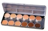 Ben Nye Professional Matte Foundation Palette – 12 Colors (Refillable) – Light to Medium (Pink, Neutral, Golden) – Powder – Face Makeup