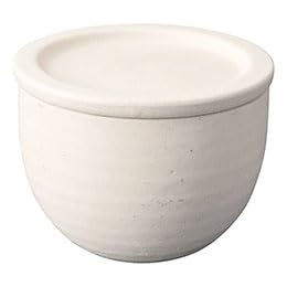 �M�y�� Hangout ���C�X�R���e�i �z���C�g 22302903