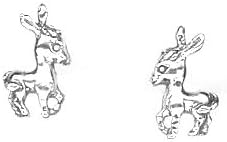 donkey earrings