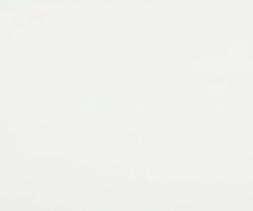 New Ridge 2022-Wht Bookcase Shelf, One Size, White #TOP5