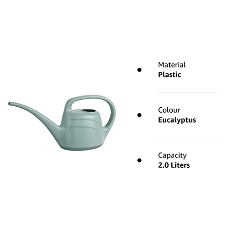 Eden Indoor Watering Can (Eucalyptus) - Image 2