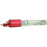 AquaForte T5 Lampe für Jumbo Tech UV-C 75 W, Ersatzleuchtmittel, Transparent, 86.0 x 2.0 x 2.0 cm