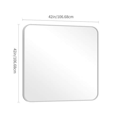 Image of DESBING 42 inch x 42 inchBathroom Mirror, Silver Wall Mirror with Metal Frame, Decorative Rectangular Vanity Mirror for Bedroom Bathroom Living Room Entryway (Horizontal /Vertical)