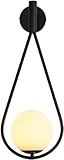 Améliorez votre espace avec cette élégante applique murale, dotée d'un corps en métal robuste et d'un abat-jour en verre élégant. Conçu à la fois pour la durabilité et l'esthétique, le fer e assure la stabilité, tandis que les accents acryliques apportent une touche raffinée à votre décor. Parfait pour les salons, les couloirs ou les chambres, ce luminaire allie fonctionnalité et design moderne.