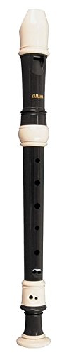 Best Recorder For Kids Yamaha