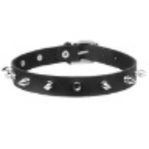 [Raineed] LbY _X ߑ  ZbgAbv ANZT[   oF J[Spc qbvzbv ̎q j̎q K[Y ؍ LbY c \ K-POP h  o (S70`[J[Pi, 130cm)