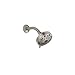 Peerless 76549BN Universal Components Shower Head, Brushed Nickel