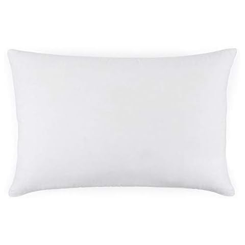Mulberry Park Silks Travel Pillow Insert Cover