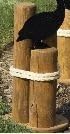 Nautical - Home Decor - Pier Post with Rope - Small.Amish Handmade Nautical Sea Side Small Pier Post Decoration with Rope