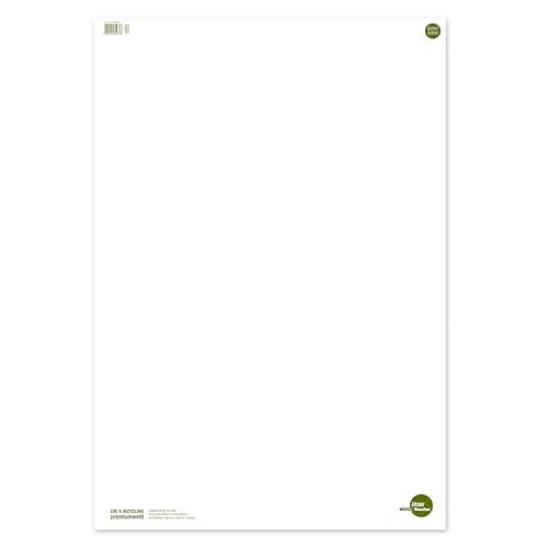 Flip chart vierge 68x99cm papier recyclé 80g de conférence Staufen lot de 5