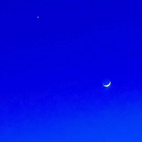 Summer Nights [Explicit]