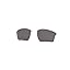Prizm Grey Polarized