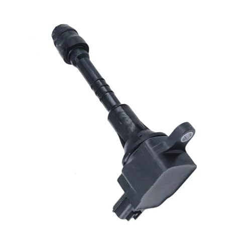 Bobina de encendido 22448-6N011 para una chispa de alta estabilidad 4