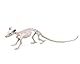 ATOSA Halloween Deko Ratte Skelett 34 cm