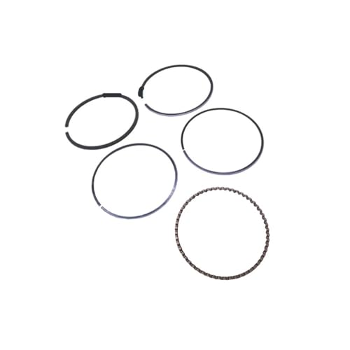 Segments de piston F9.9 F15 pour moteur hors-bord de bateau 4 temps référence F15-07020002