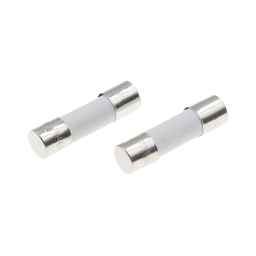 Fusible cerámico de soplado lento 5x20mm 250V 1A para tubo portafusible electrónico