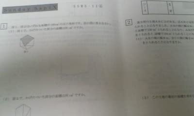 サピックス・難関校ＳＳ特訓＊６年＊算数／武蔵 対策プリント 全２４回完全版＊貴重 サピックス・難関校SS特訓＊6年＊算数／武蔵 対策プリント 全24回